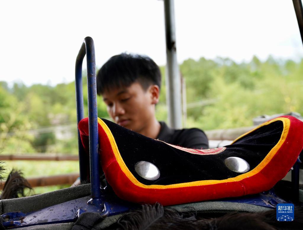 网上飞禽走兽数学打法